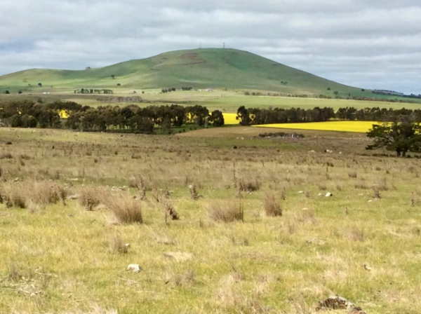 Unsettling: An Insight Into Landscape Change From Barry Golding ...