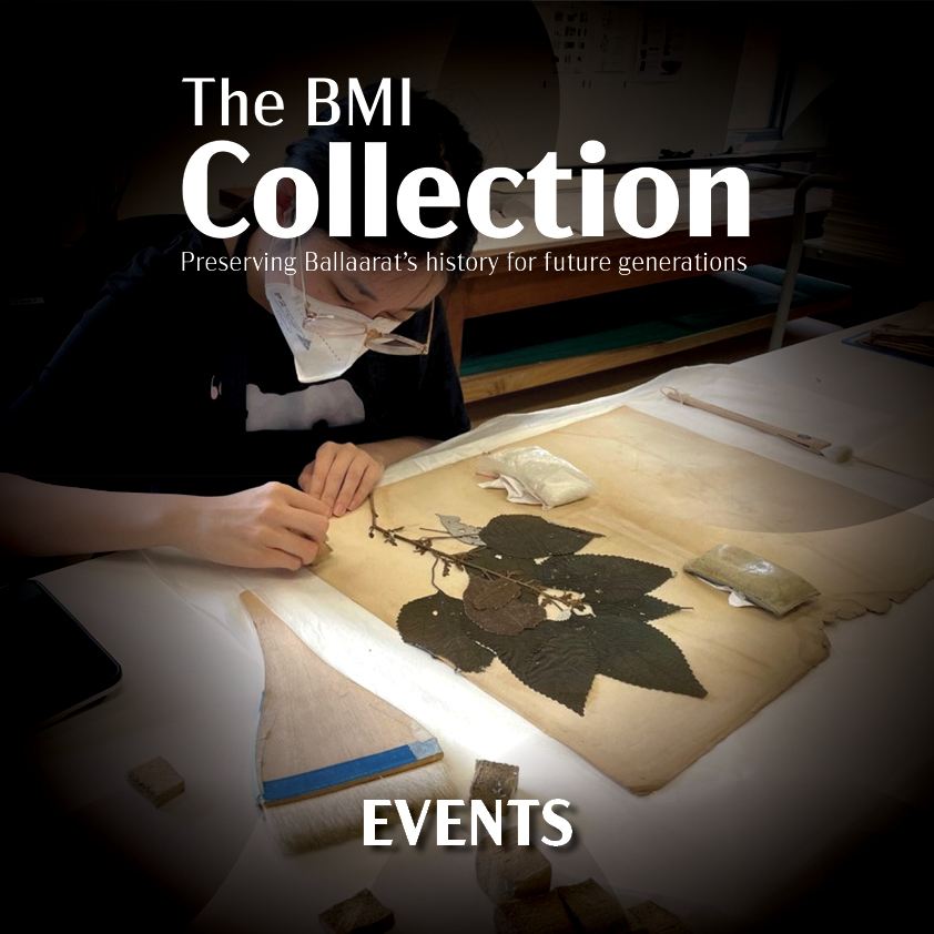 Conservator examining pressed botanical specimen at BMI Collection