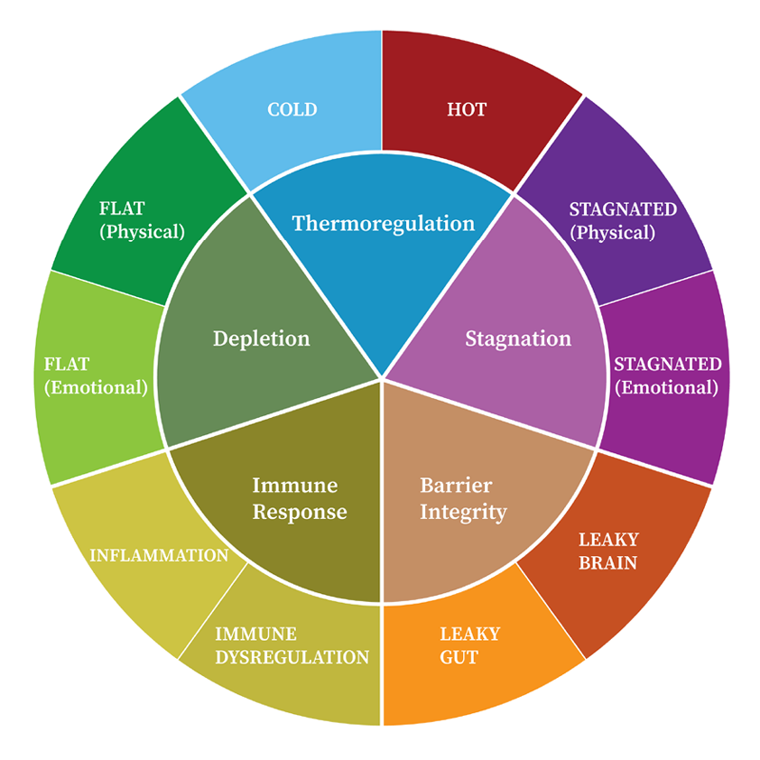 Colourful circular diagram showing health dysfunction categories