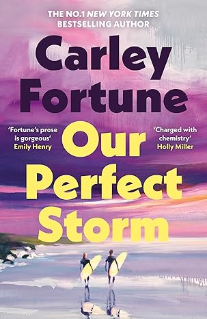 Our Perfect Storm book cover by Carley Fortune