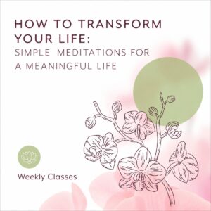 Meditation weekly classes promotional graphic with orchid illustration