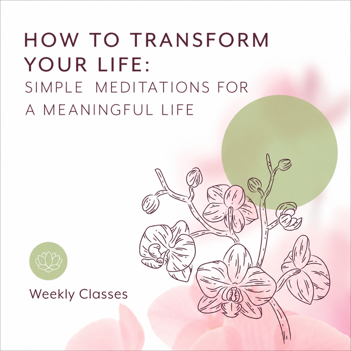 Meditation weekly classes promotional graphic with orchid illustration