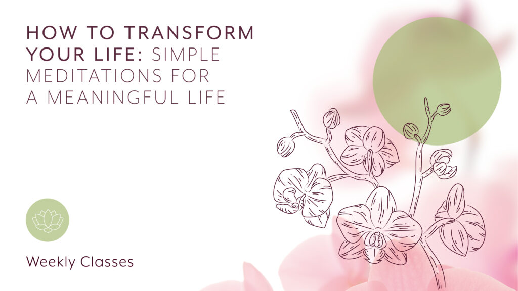 Weekly meditation classes promotional graphic with orchid illustration