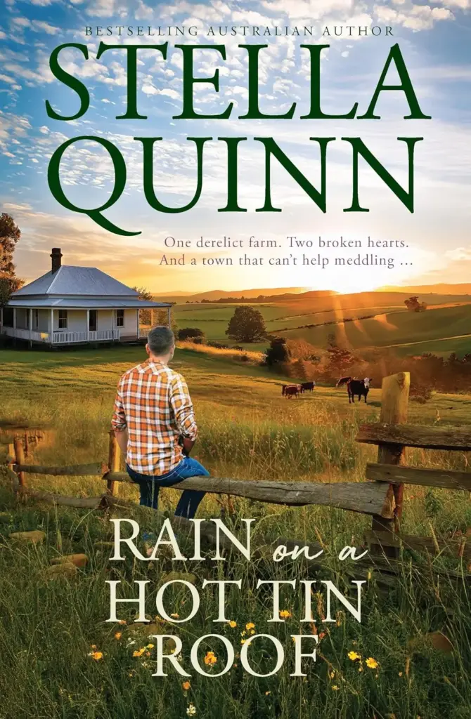 Book cover of Rain on a Hot Tin Roof by Stella Quinn